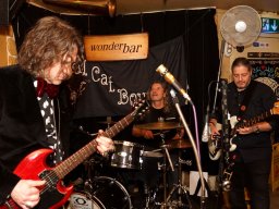 2025 &raquo; Dead Cat Bounce live (14.2.25)