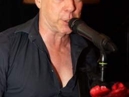 2025 &raquo; Bobbie & the Groove Cats (2.5.25)